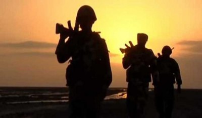 Punjab: Suspected Pakistan intruder shot dead along IB in Amritsar sector