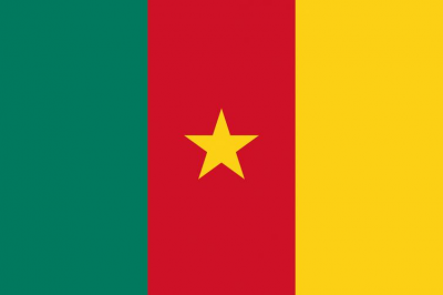 Cameroon reports first case of COVID-19