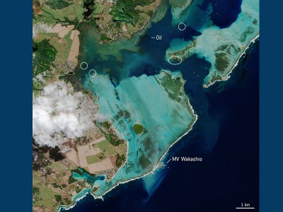 Japan sending 3rd disaster relief team to Mauritius to help eliminate oil spill - Ministry