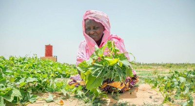 UN chief announces major push to transform harmful food systems