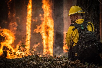 Seven people confirmed dead in wildfires in US state of Oregon