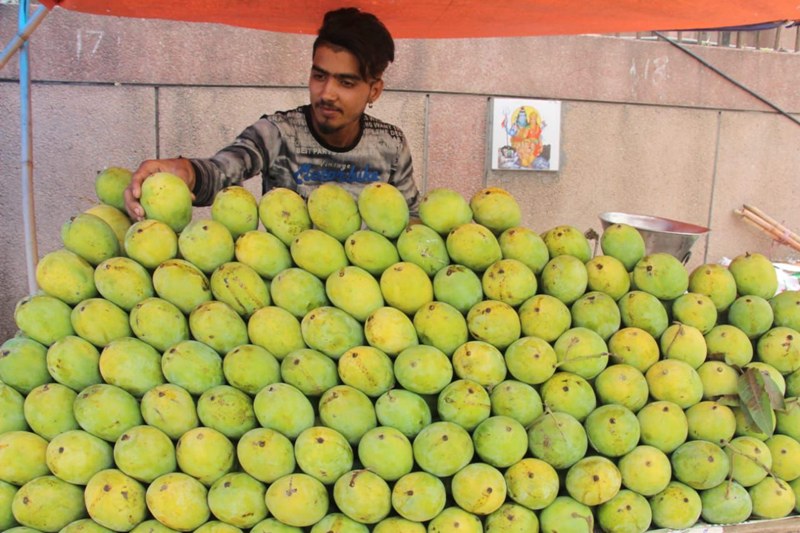Fruit vendor selling mangoes in New Delhi