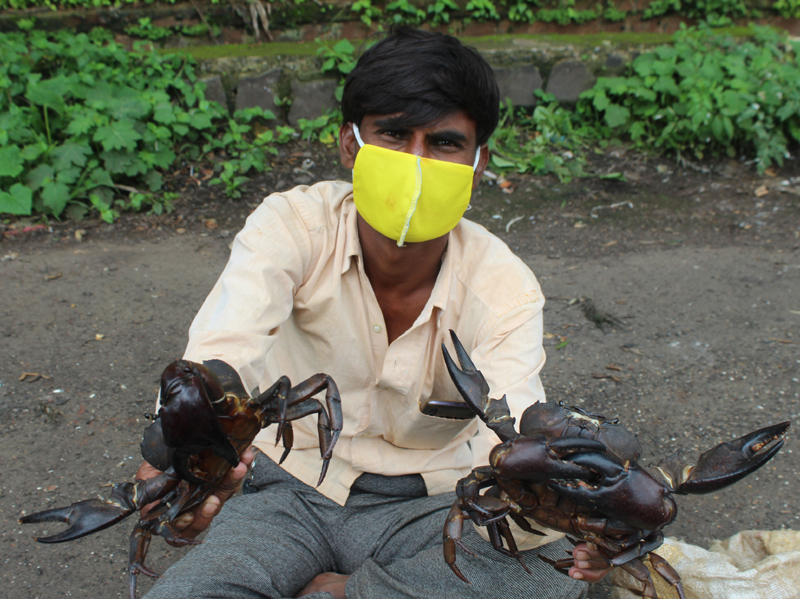 Belagavi: Villagers waiting to sell Black Crabs