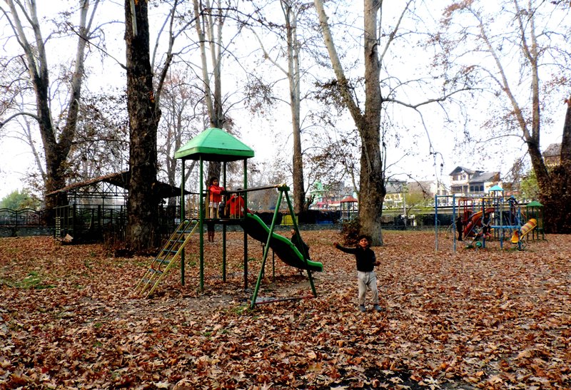 Children play in a park with Chinar leaves scattered all over in Kashmir