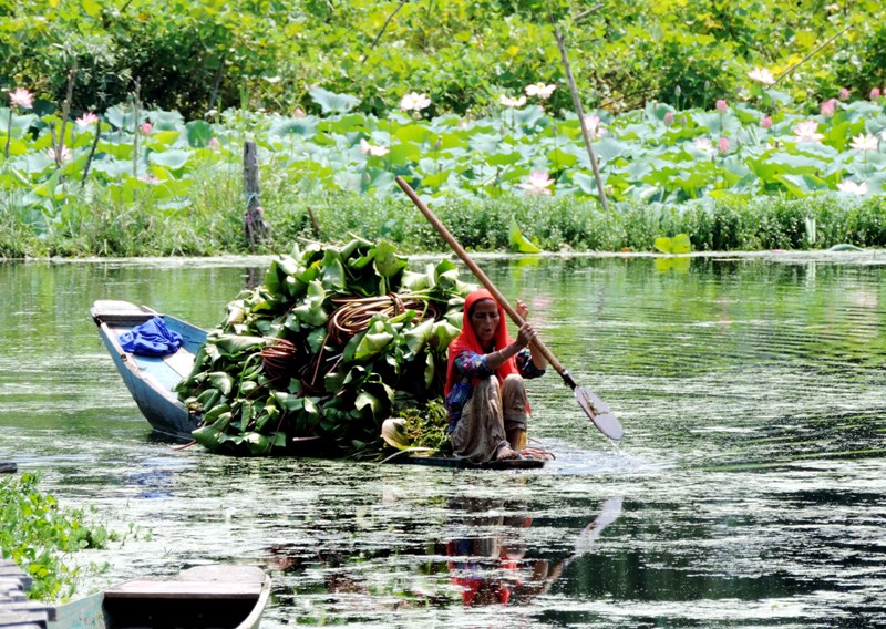 Dal Lake in Srinagar