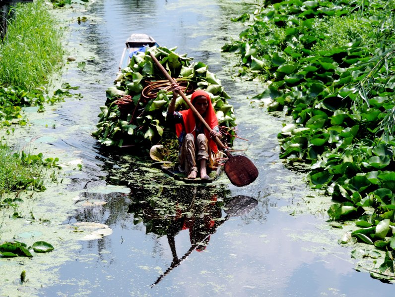 Dal Lake in Srinagar