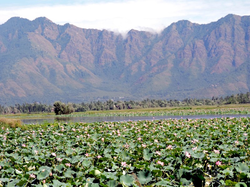 Dal Lake in Srinagar