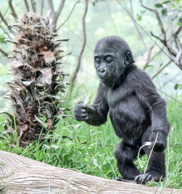 Glimpse of wildlife in San Diego