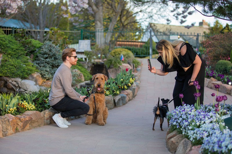 Sanasar belt of Ramban district in Kashmir