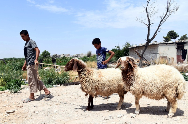 World in Photos : July 27, 2020