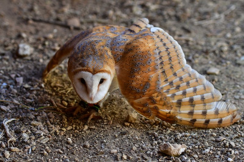 World in Photos : Sept. 1, 2020