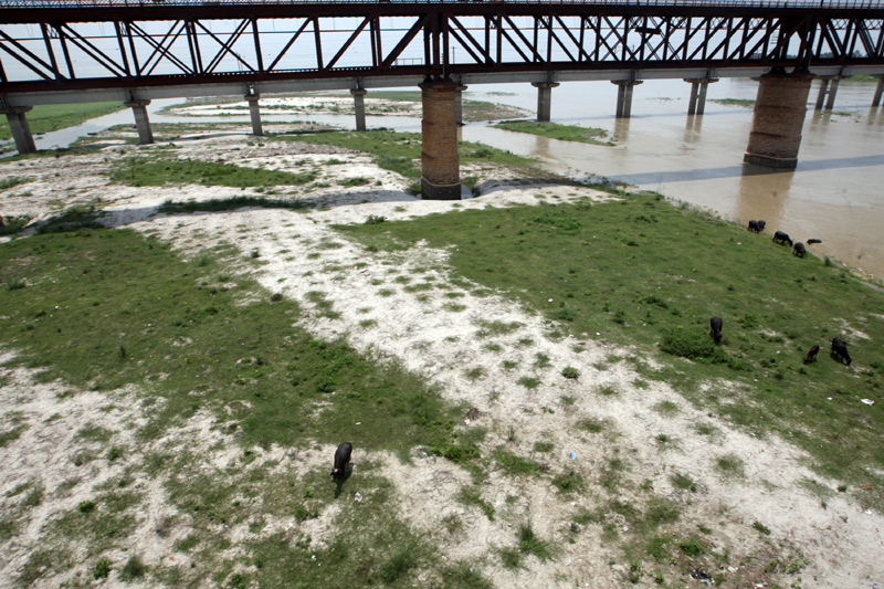 Bodies of COVID-19 victim exposed in shallow sand graves on banks of Ganga at Prayagraj