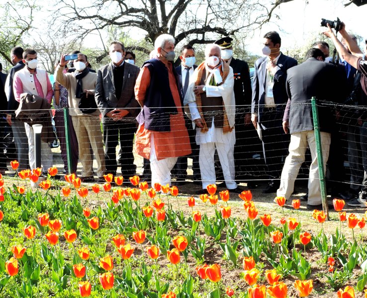 JK Governor inaugurates tulip festival in Srinagar