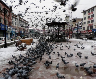 Jammu, Srinagar to have IT Towers, MoU signed between NBCC, JKIT