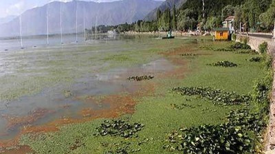 LAWDA Jammu and Kashmir convenes 114th meeting of BPA  