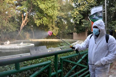 Ten Indian states report bird flu cases