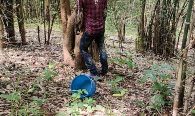 Assam: Missing person's body found hanging inside jungle
