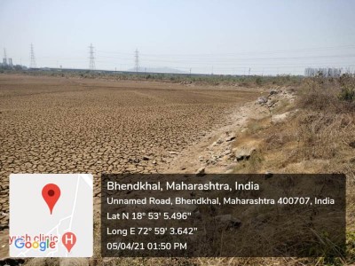 Navi Mumbai airport faces rising bird-hit threats as migratory bird flights are hit by wetland burials