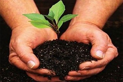 Forest dept to make J&K’s green lungs polythene free