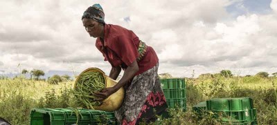 Conflict, climate change, COVID, forces more people into hunger