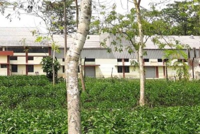 Teas fetch record prices at first mjunction International Tea Day Special Auction, says company