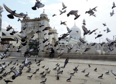 Coronavirus: All educational institutes to remain closed in Jammu and Kashmir