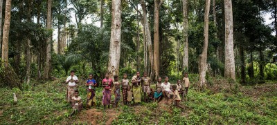 Forest restoration provides a path to pandemic recovery, greener future