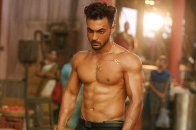 Antim goes strong at box office, collects Rs. 24 cr