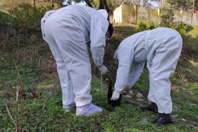 Joint field teams to monitor bird flu in Jammu and Kashmir