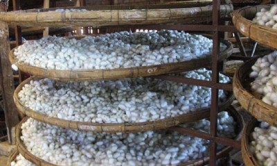 Jammu and Kashmir: Central Silk Board launches training programme