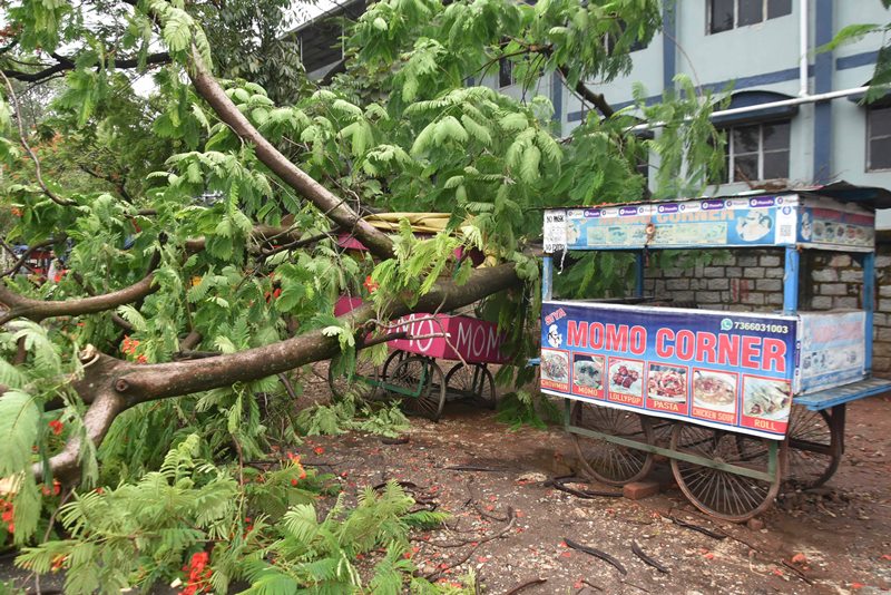 Cyclone Yaas hits Odisha, West Bengal