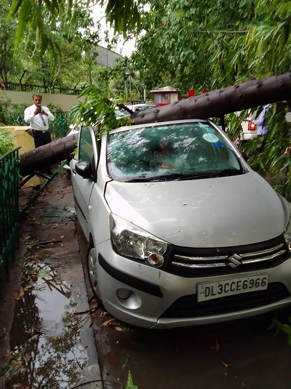 An uprooted tree falls on car during heavy rainfall in Delhi