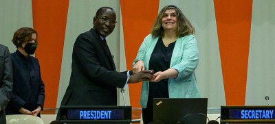 New ECOSOC President aims to ease crises which have ‘engulfed our societies’