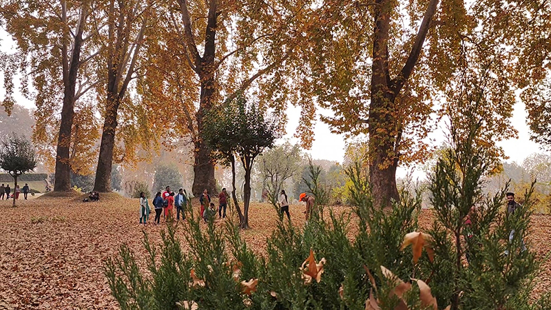 Autumn in Kashmir