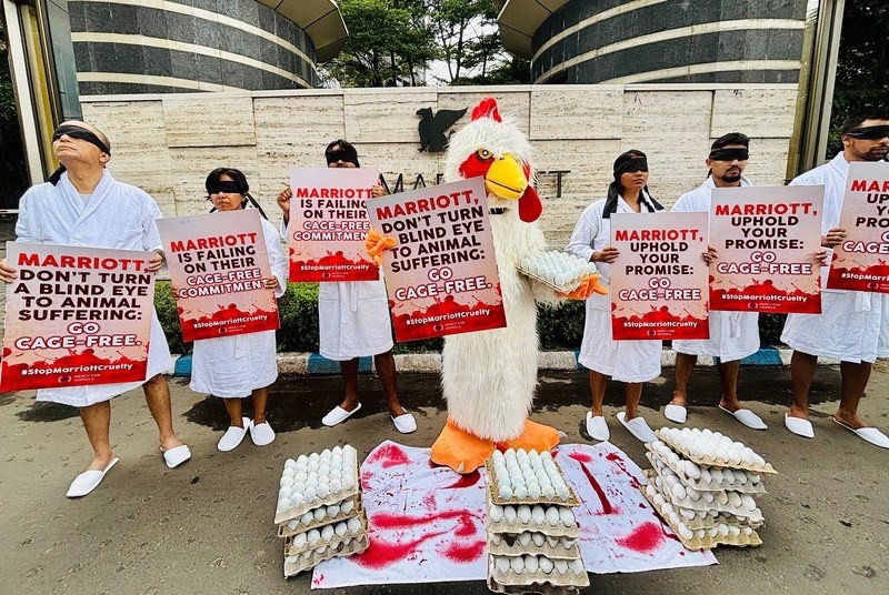 In Images: Activists in bathrobes and a hen protest Marriott’s broken cage-free egg pledge in Kolkata
