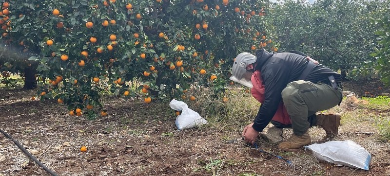 Landmines kill more people than ever in 4 years — Why global agreements are failing?