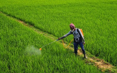 India slaps anti-dumping duty on Chinese herbicide to shield domestic industry