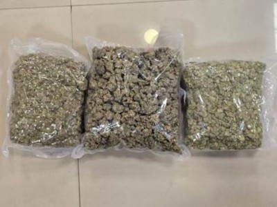 Directorate of Revenue Intelligence seizes 72 kg of hydroponic weed during countrywide operation