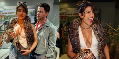 Priyanka Chopra plays with a snake like it's a puppy, Nick Jonas' reaction says it all