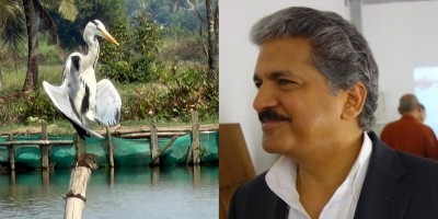 You won’t believe which ‘clean and pristine’ Kerala village Anand Mahindra just visited!