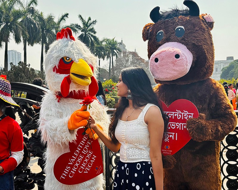 In Images: Love gets a vegan twist as activists hit the streets