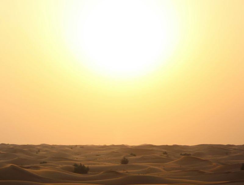 Decade of Fire: Earth just lived through its hottest 11 years, WMO warns