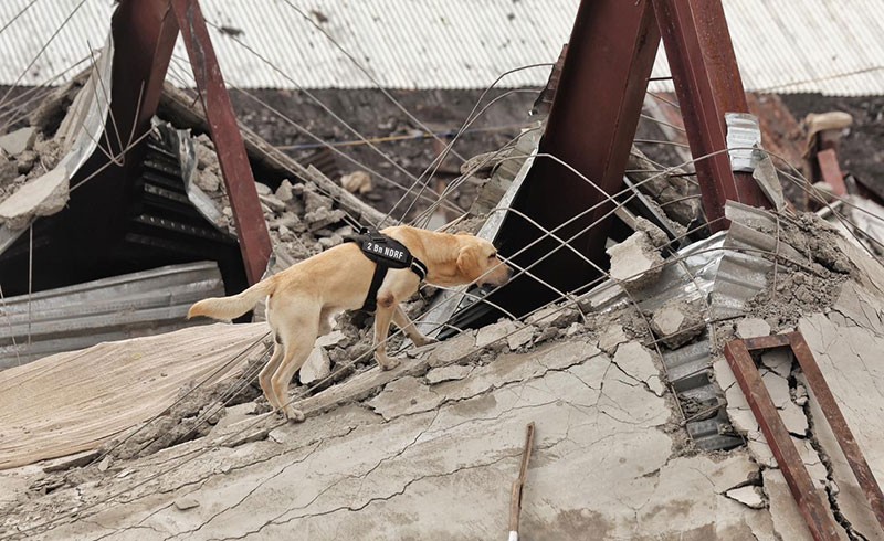 In Images: NDRF, Army intensify search as more bodies recovered from Taratala godown collapse site