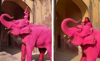 Viral pink elephant photoshoot by Russian photographer in Rajasthan triggers massive backlash online