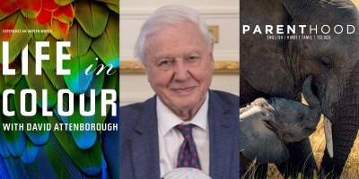 Warner Bros. Discovery celebrates 100 years of David Attenborough with special programming tribute on his birthday