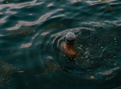 Lakes and rivers may look clean, but new study finds hidden health risks