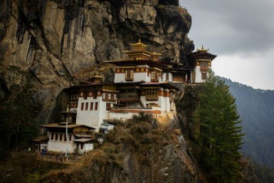 Bhutan achieves what few countries have: WHO validates elimination of dog-transmitted Rabies