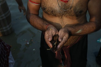 In Images: Devotees offer prayers to ancestors on Mahalaya in Kolkata