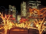 Canada's biggest Winter Festival of Lights to kick off on Nov 21