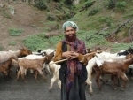 Cold September leads nomadic Gujjars-Bakkarwals to prepone annual tribal migration